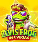 Elvis Frog in Vegas