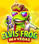 Elvis Frog in Vegas